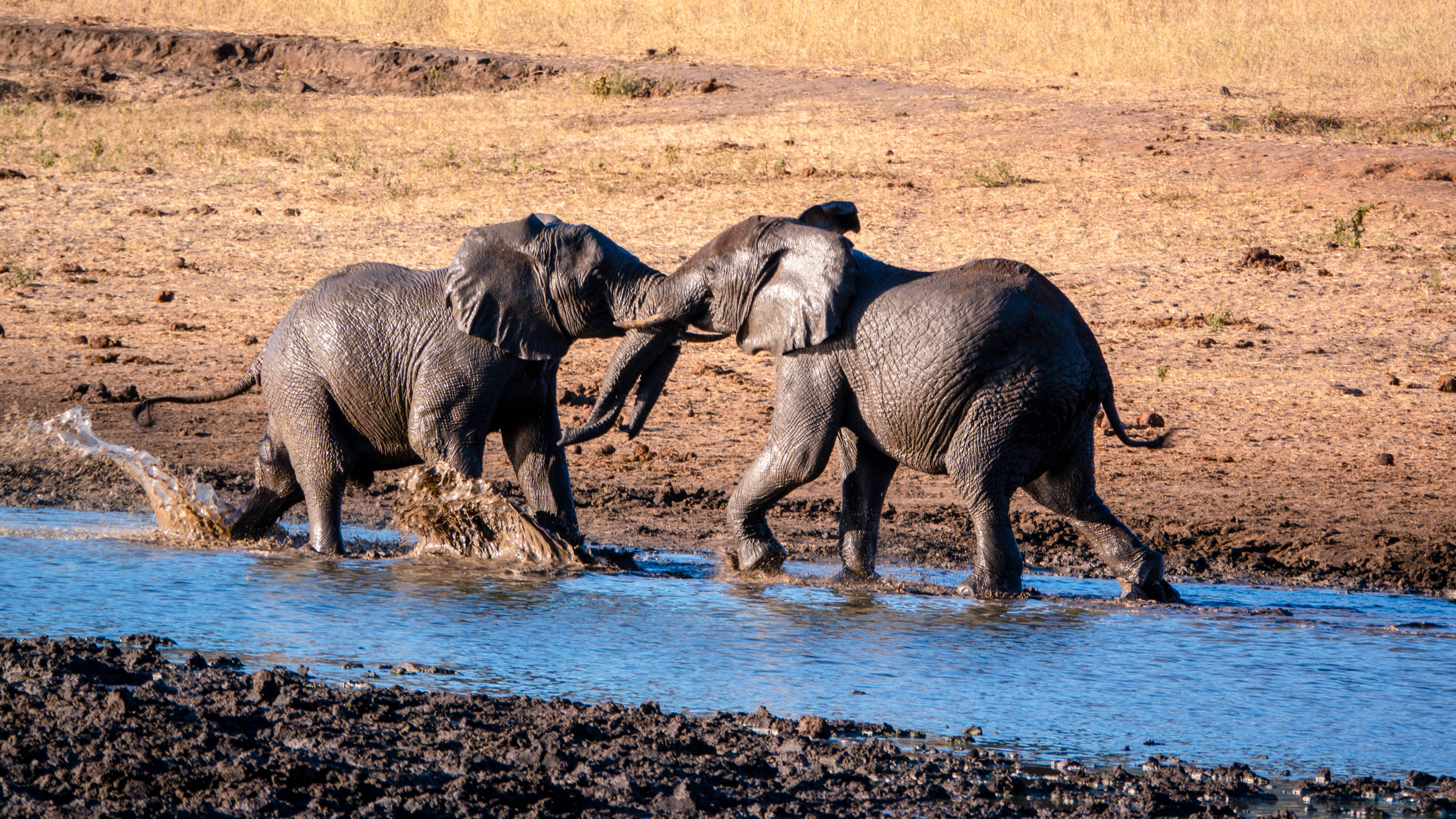 Nyerere National Park